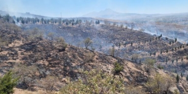 Aksaray'da ot yangını ormana sıçradı, 5 bin fidan yandı 8 Aksarayda ot yangını ormana sıçradı 5 bin fidan yandı