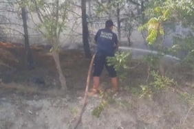 Amasyadaki yangında 10 dönüm orman ve 5 dönüm tarım arazisi zarar gördü