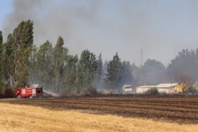 Anız yangını düğün alanına sıçramadan söndürüldü