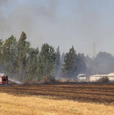 Anız yangını, düğün alanına sıçramadan söndürüldü 7 Anız yangını düğün alanına sıçramadan söndürüldü