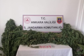 Ankara'da hobi bahçelerine ekilmiş uyuşturucu madde bitkisi dronla tespit edildi 36 Ankarada hobi bahçelerine ekilmiş uyuşturucu madde bitkisi dronla tespit edildi