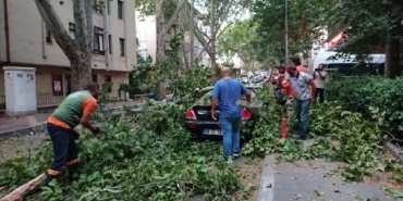 Ankara'da kuvvetli rüzgar; ağaçlar devrildi, çatılar uçtu 6 Ankarada kuvvetli rüzgar ağaçlar devrildi çatılar uçtu
