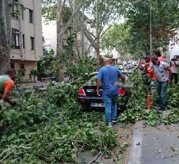 Ankarada kuvvetli rüzgar ağaçlar devrildi çatılar uçtu