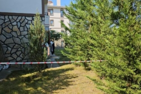 Annesi ve anneannesini öldürüp ceset parçalarını camdan attı