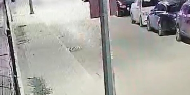 Antalyada başıboş 2 köpeğin kediyi boğduğu anlar kamerada