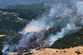 Antalyada orman yangını 2