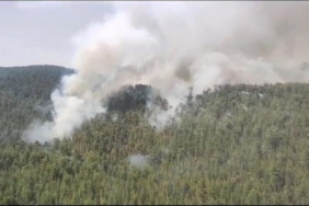 Antalya'da orman yangını (2) 3 Antalyada orman yangını 2