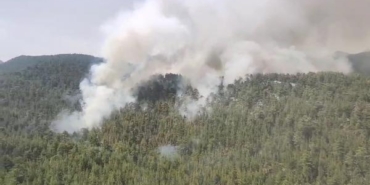 Antalyada orman yangını 2