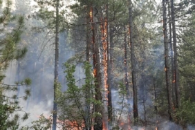 Antalya'da orman yangını (3) 29 Antalyada orman yangını 3