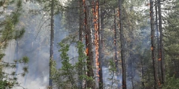 Antalyada orman yangını 3