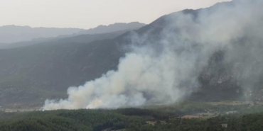 Antalyada orman yangını