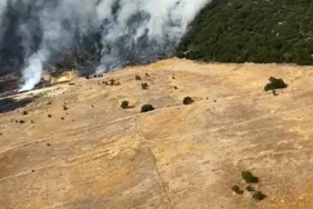 Antalyada orman yangını