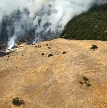 Antalyada orman yangını