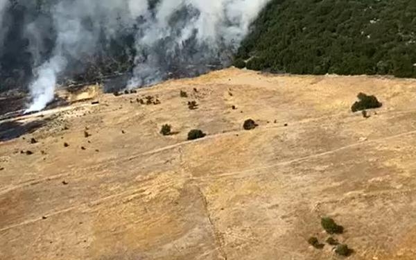 Antalyada orman yangını