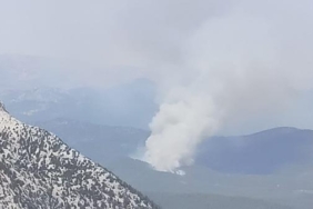 Antalya'da orman yangını 29 Antalyada orman yangını