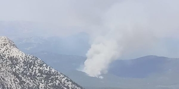 Antalyada orman yangını