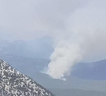 Antalyada orman yangını