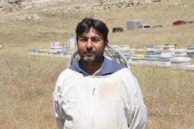 Araştırma enstitüsü Torosların eteklerinde 25 ton bal üretti