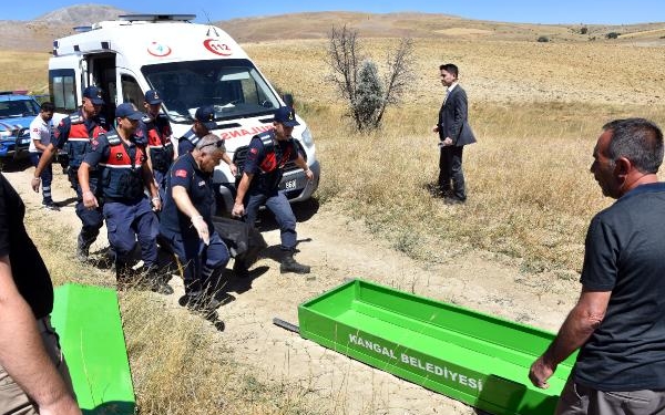 Arazi anlaşmazlığı nedeniyle eniştesi ve yeğenini öldürdü