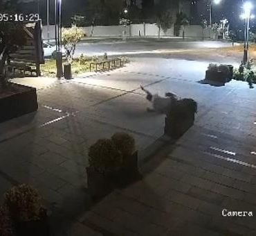 Arnavutköyde sürücüsünün hakimiyetini kaybettiği otomobil takla attı