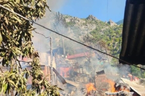 Artvinde köyde çıkan yangında 5 ev 2 samanlık 2 ahır ve 1 traktör kullanılmaz hale geldi