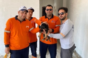 Asansör kuyusuna düşen yavru köpek kurtarıldı