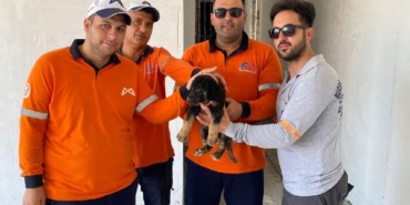 Asansör kuyusuna düşen yavru köpek, kurtarıldı 37 Asansör kuyusuna düşen yavru köpek kurtarıldı