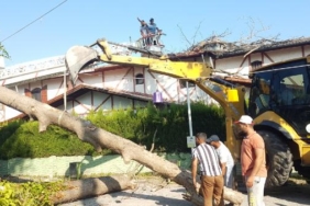 Asırlık çınar ağacı villanın çatısına devrildi