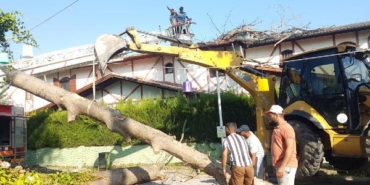 Asırlık çınar ağacı villanın çatısına devrildi