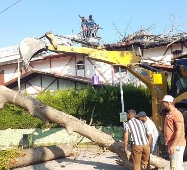 Asırlık çınar ağacı villanın çatısına devrildi