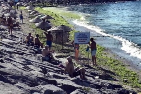 Avcılar sahilini yosun kapladı