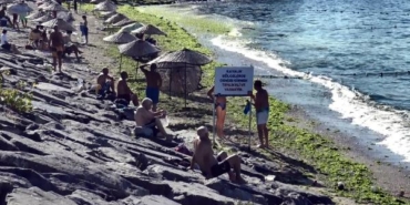 Avcılar sahilini yosun kapladı