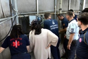 Avcılar'da boruya giren 3 yavru kedi kurtarıldı 1 Avcılarda boruya giren 3 yavru kedi kurtarıldı