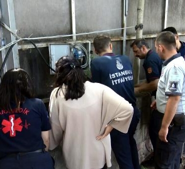 Avcılar'da boruya giren 3 yavru kedi kurtarıldı 3 Avcılarda boruya giren 3 yavru kedi kurtarıldı