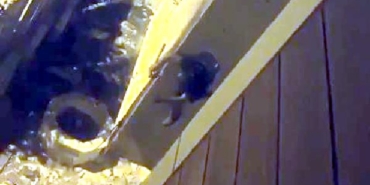 Avcılar'da duvara tırmanan hırsız internet kablolarını çalarken yakalandı 32 Avcılarda duvara tırmanan hırsız internet kablolarını çalarken yakalandı