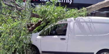 Avcılar'da kaldırımdaki ağaç aracın üzerine devrildi 6 Avcılarda kaldırımdaki ağaç aracın üzerine devrildi