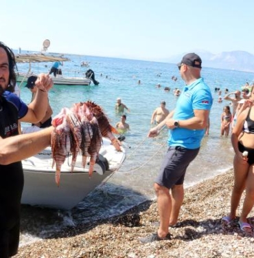 Avladıkları aslan balıklarını pişirip yediler