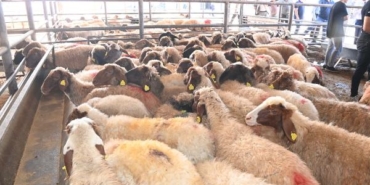 Bakan Yumaklı: Deprem bölgesine 8,8 milyar lira tarımsal destek ödemesi yaptık (2) 19 Bakan Yumaklı Deprem bölgesine 88 milyar lira tarımsal destek ödemesi yaptık 2