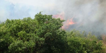 Balıkesirde orman yangını 2