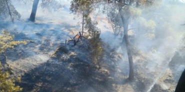 Balıkesirde orman yangını