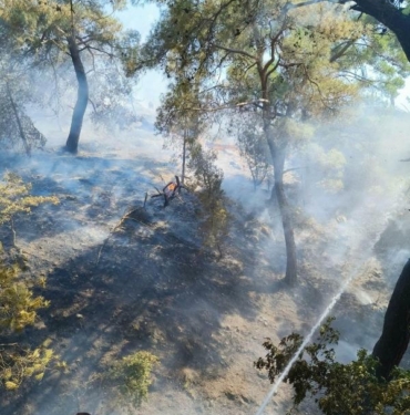 Balıkesirde orman yangını