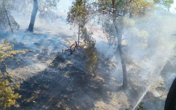 Balıkesirde orman yangını