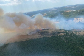 Balıkesirde orman yangını