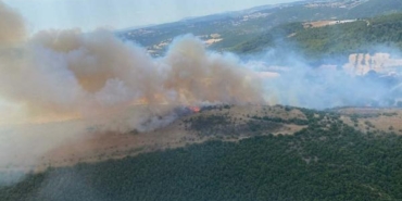 Balıkesirde orman yangını