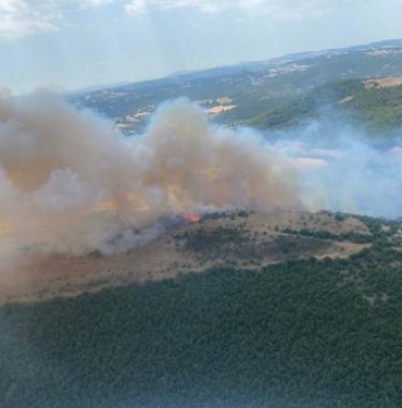 Balıkesirde orman yangını