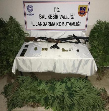 Bandırmada jandarmadan uyuşturucu operasyonu 4 gözaltı
