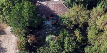 Berzegi arama çalışmalarına GPS cihazı takılan Tina da katıldı