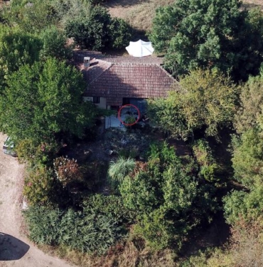 Berzegi arama çalışmalarına GPS cihazı takılan Tina da katıldı