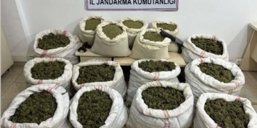 Bingöl’de 11 milyon 282 bin kök Hint keneviri ele geçirildi 13 Bingölde 11 milyon 282 bin kök Hint keneviri ele geçirildi