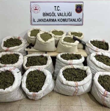 Bingöl’de 11 milyon 282 bin kök Hint keneviri ele geçirildi 3 Bingölde 11 milyon 282 bin kök Hint keneviri ele geçirildi